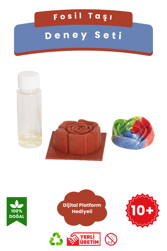 Fosil Taşı - Kendin Yap DIY Deney Bilim Seti