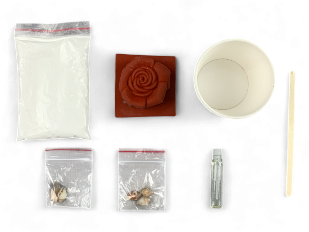 Fosil Taşı - Kendin Yap DIY Deney Bilim Seti