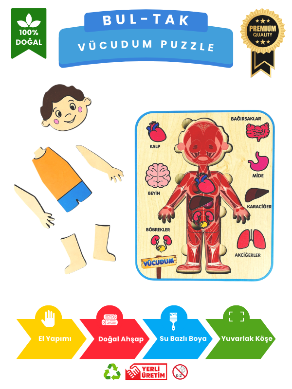 Vücudumu Keşfediyorum – Erkek Çocuk Vücut ve Organlar Ahşap Puzzle Oyuncak
