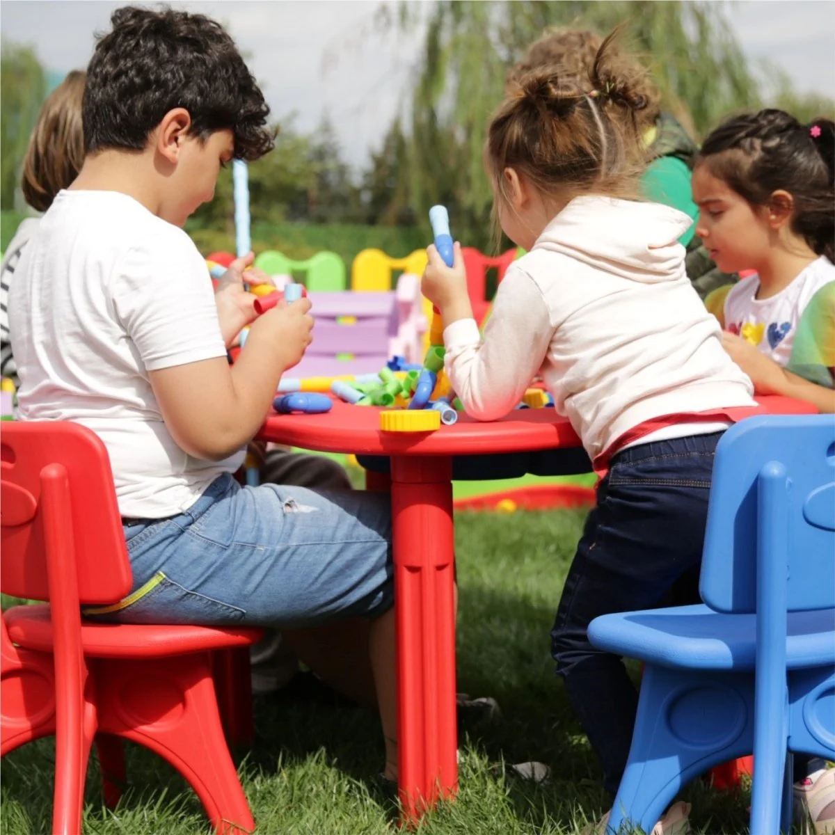 Papatya Masa Yeşil