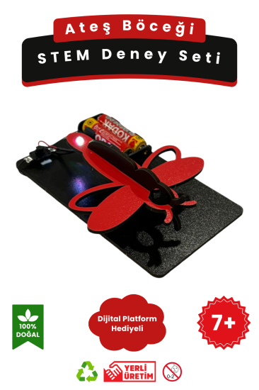 Ateş Böceği - Kendin Yap Stem Bilim ve Deney Seti - DIY Montessori Eğitim - Maker Set