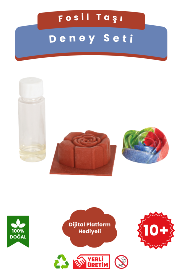 Fosil Taşı - Kendin Yap DIY Deney Bilim Seti