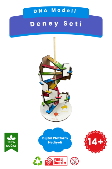 DNA Modeli – Kendin Yap Stem Bilim ve Deney Seti