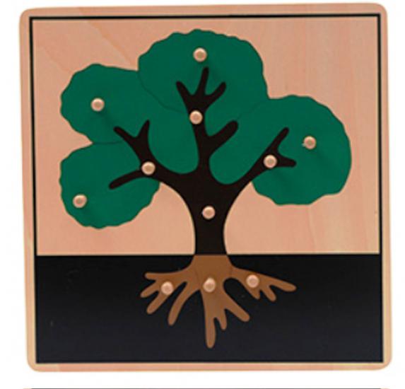 montessori materyalleri Bitkiler 5’li Puzzle Set, anaokulu malzemeleri, eğitici oyuncak, anaokulu oyuncak, okul