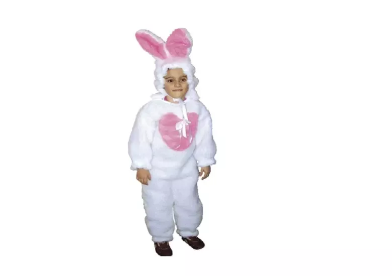 Tavşan Kostümü